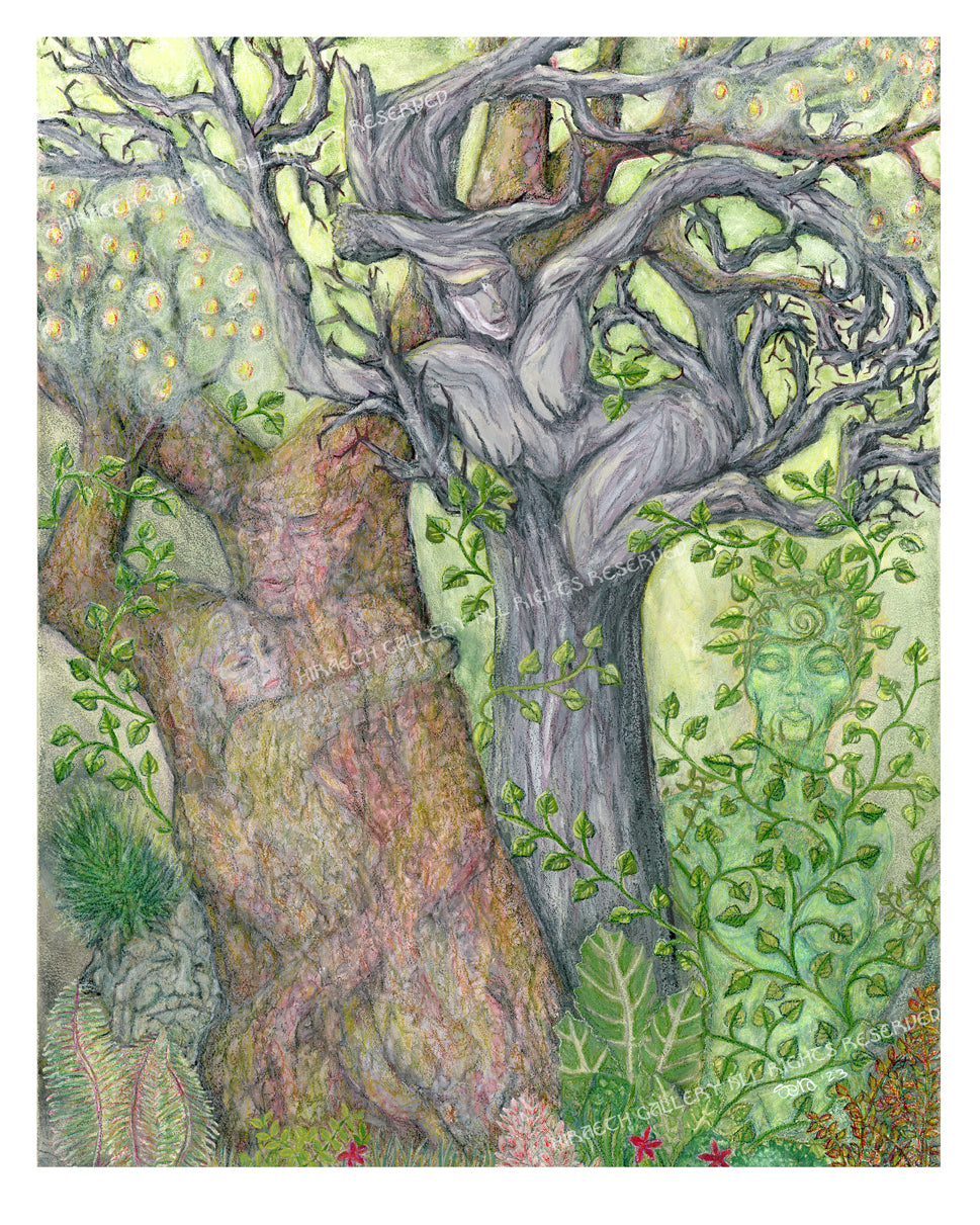 Dryad Dreams